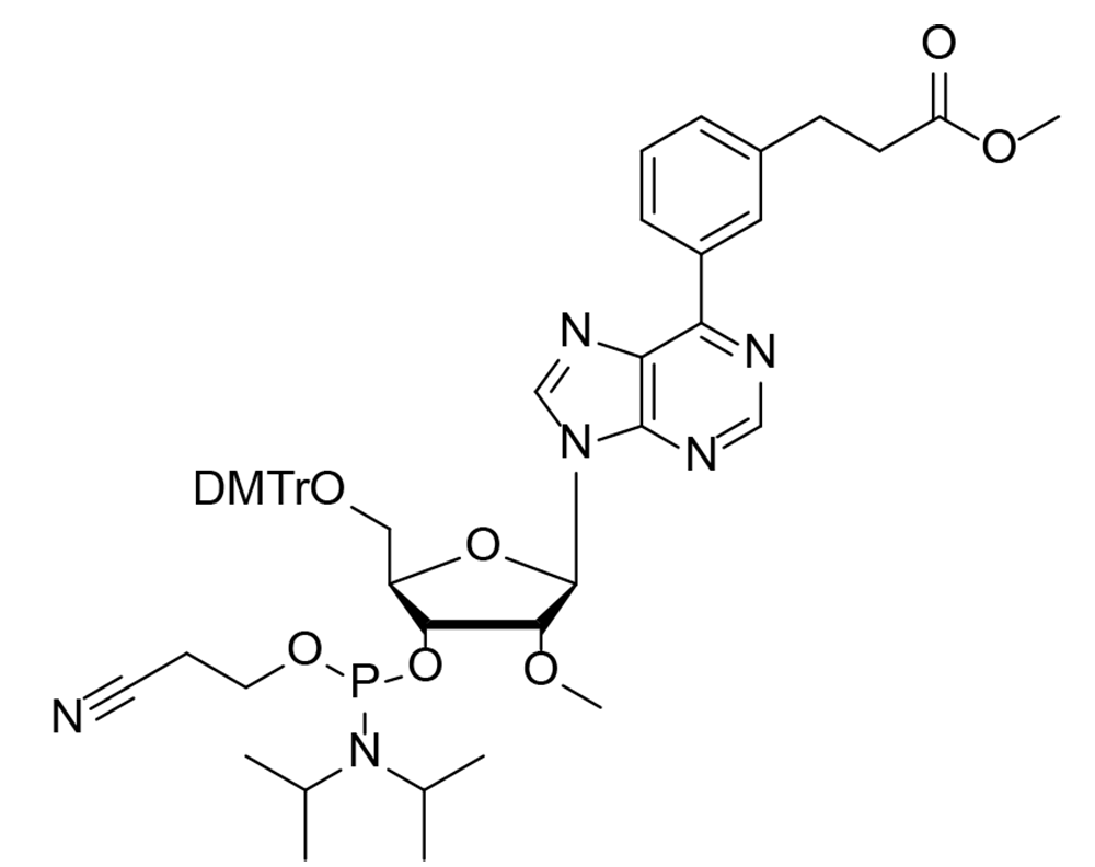 3-(3-(9-((2R,3R,4R,5R)-5-((双(4-甲氧基苯基)(苯基)甲氧基)甲基)-4-(((2-氰基乙氧基)(二异丙氨基)膦基)氧基)-3-甲氧基四氢呋喃-2-基)-9H-嘌呤-6-基)苯基)丙酸甲酯